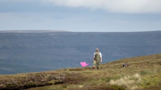 Gamekeeper on  Grouse moor